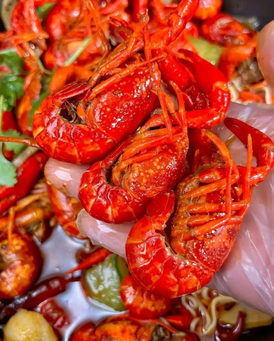 去这个地方泡温泉,还能免费实现啤酒小龙虾自由!