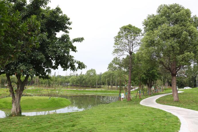 江安河公园品质提升生态惠民示范工程空港绿道公司负责实施的由该中心