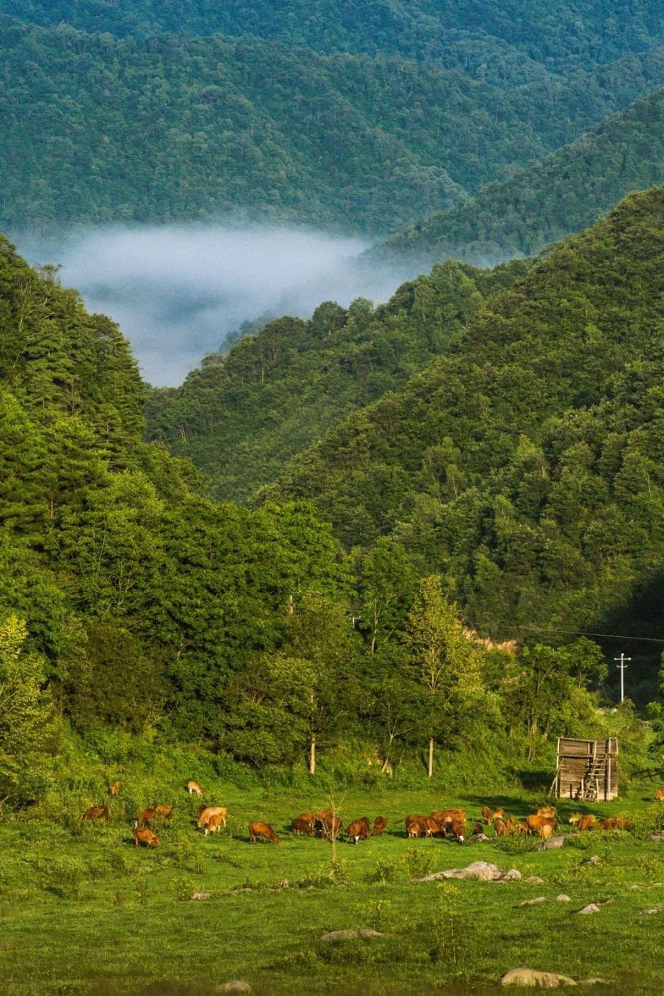 留坝县旅游景点有哪些图片