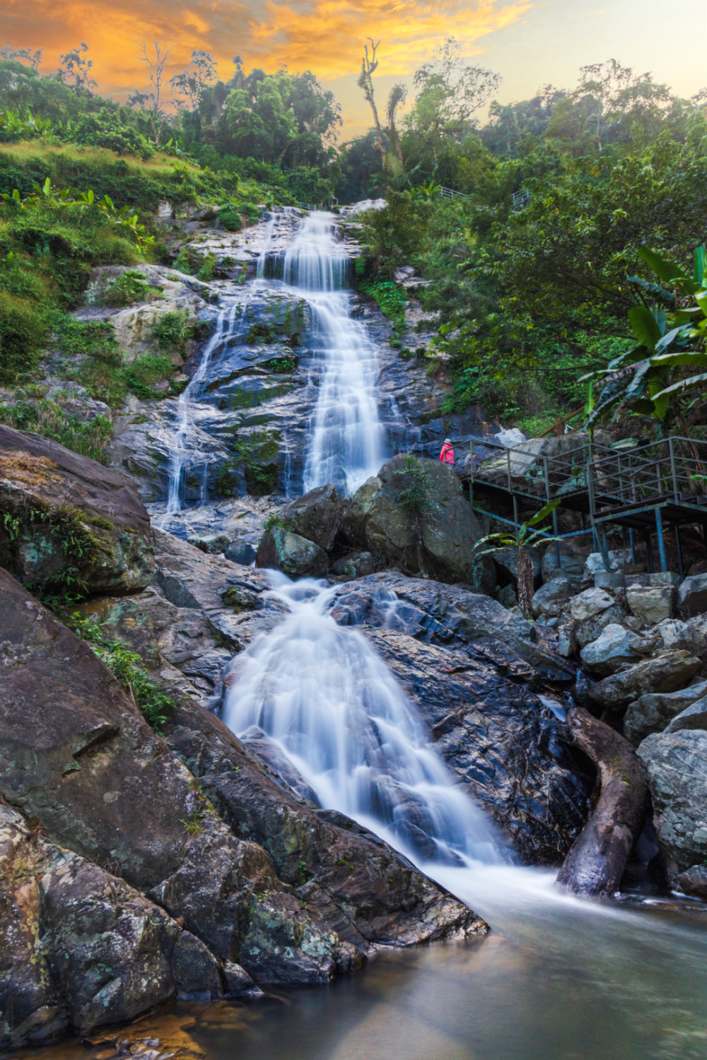 ")海南百花岭热带雨林文化旅游区在琼中黎族苗族自治县5月1日下午"三