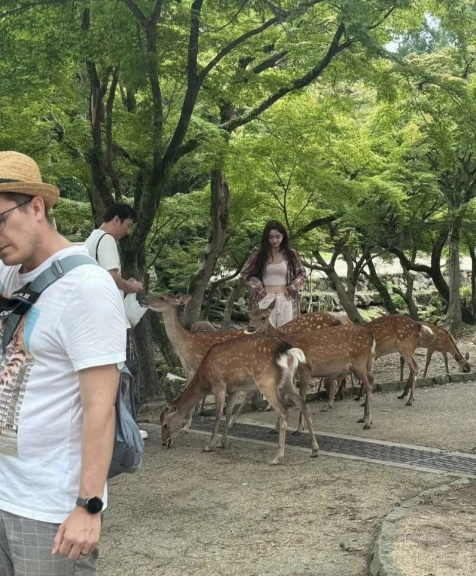 王思聪到日本奈良看鹿,25岁新女友亲密陪伴,不受私生女传闻影响