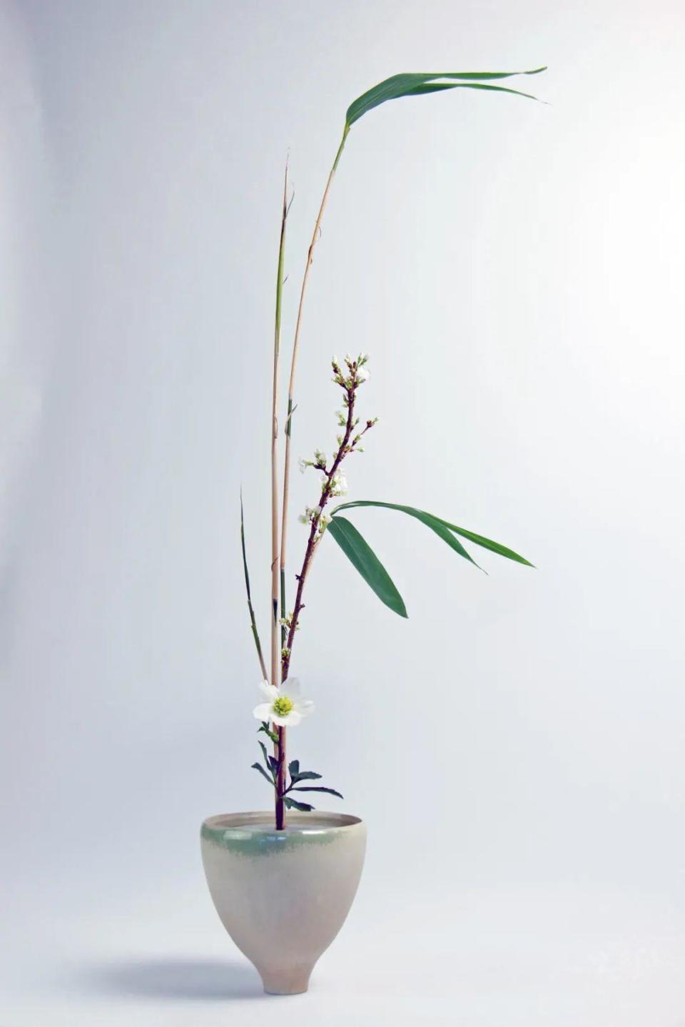 绝美插花 · 200例