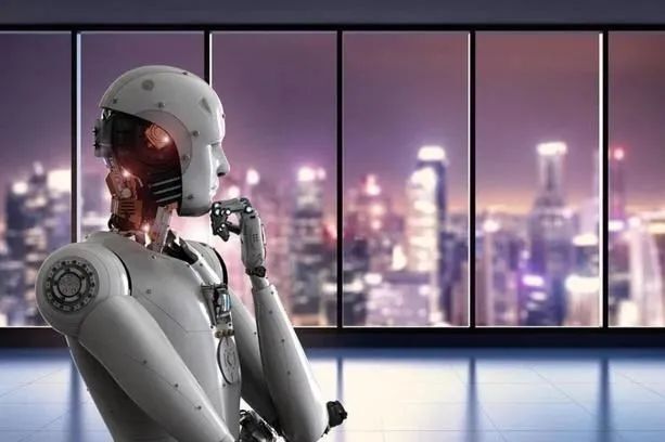 小新奇遇：超能小刺猬的自我介绍与思考，你准备好了吗？