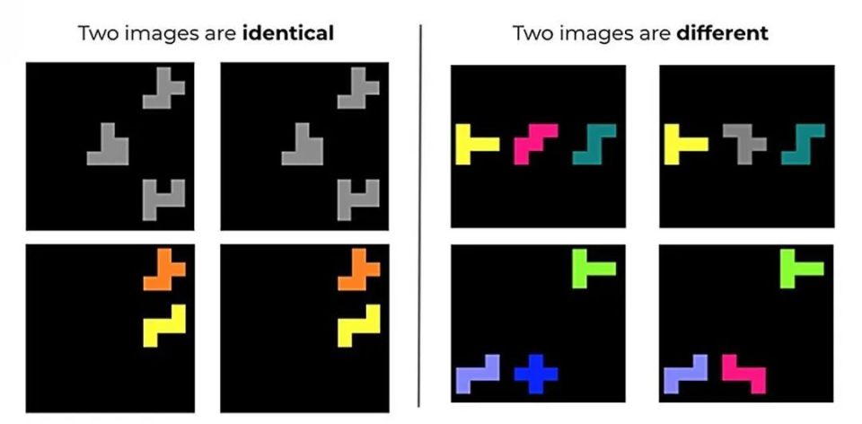 心电图机器怎么看追问weekly ｜ 过去一周，脑科学领域有哪些新发现？_https://www.jmylbn.com_新闻资讯_第13张