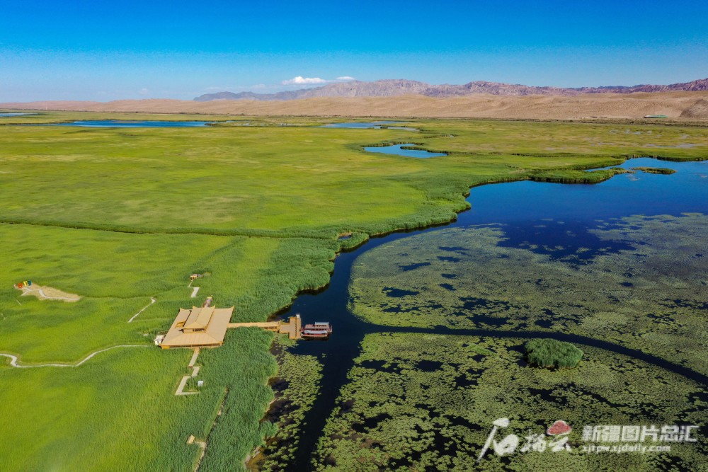 沿着河湖看新疆丨博斯腾湖美景引来八方客