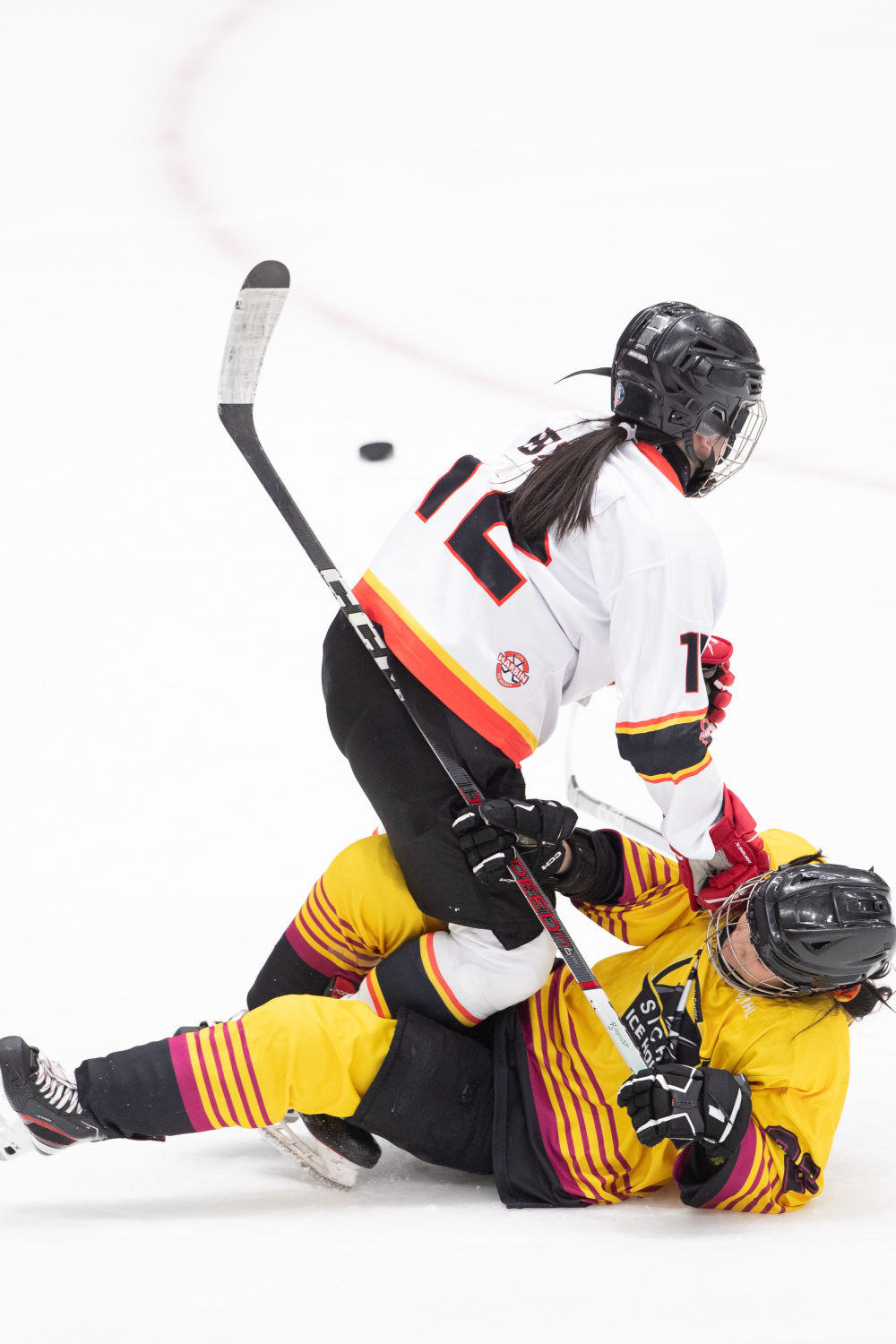 冰球——中国女子职业联赛:哈尔滨队胜四川队-腾讯新闻