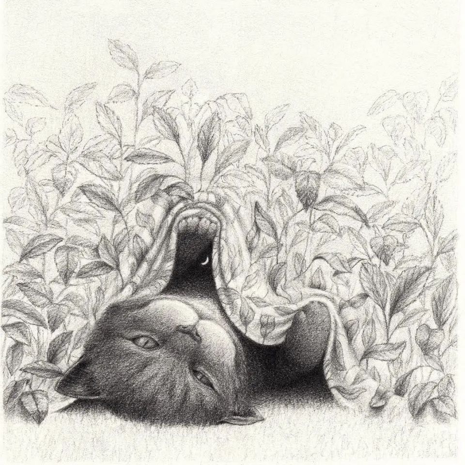 一根笔一幅画,16幅超现实主义素描画作,诡异中富含深意67