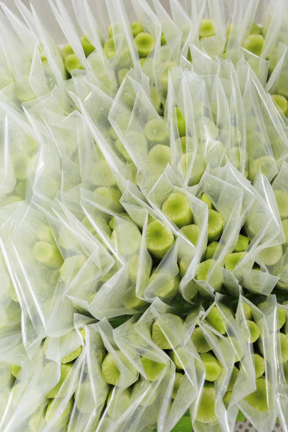 鲜切净菜易褐变遭退货?北京农业技术专家支招