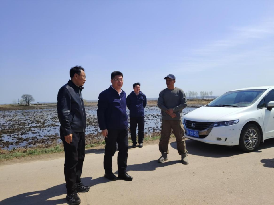 【春耕生产】延寿县丨市农业农村局领导深入加信镇调研
