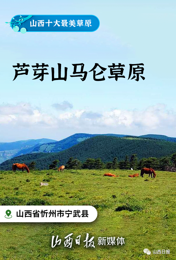 "衣服全晾好后,我坐在高高的岸上看他用心洗马.