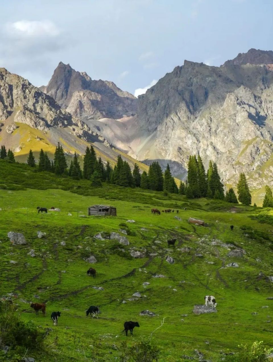 巩乃斯景区是国家aaaa级景区,有"国家森林公园""中国最美田园"的美称.