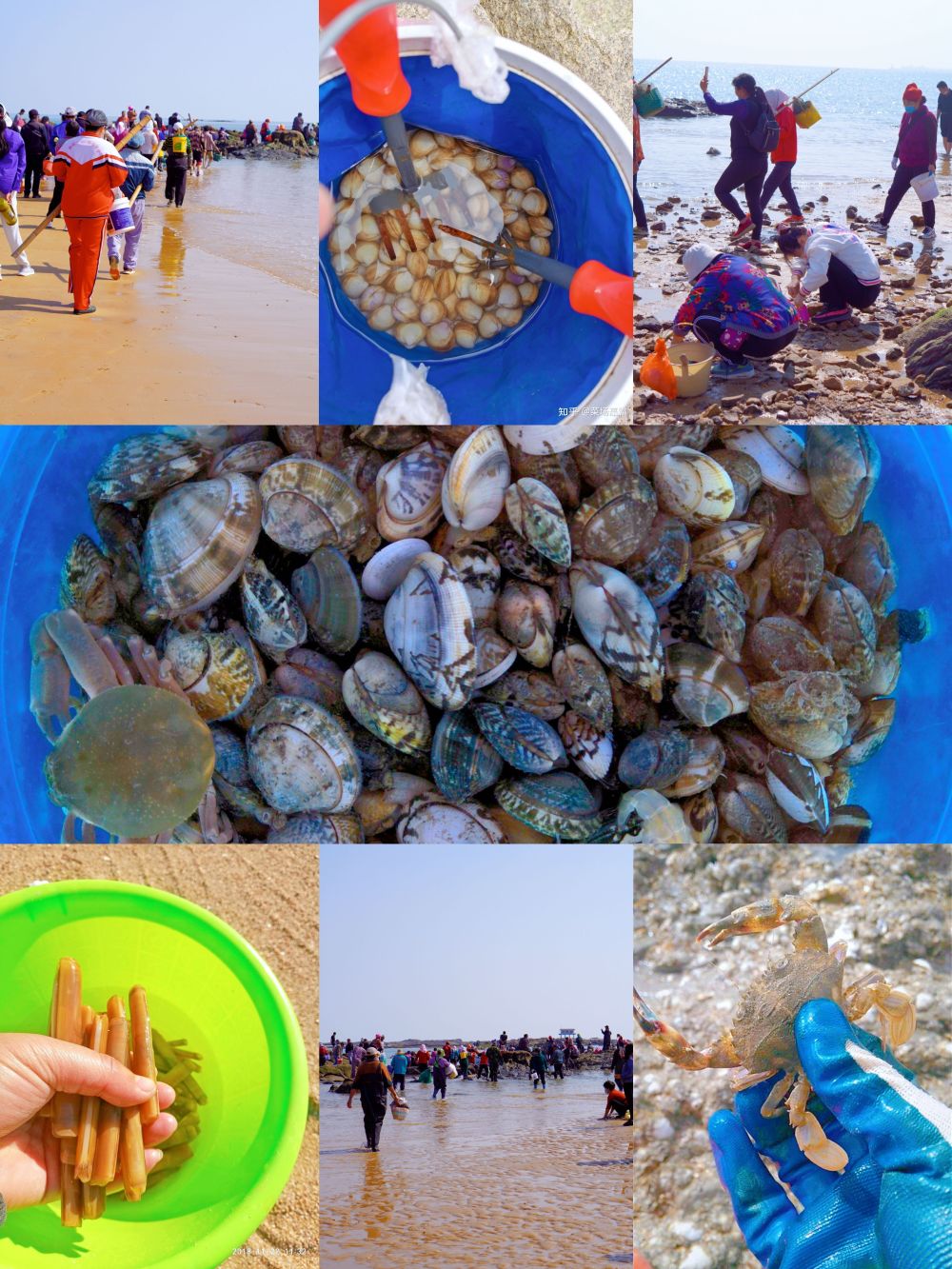 日照赶海亲子游来喽,带大朋友小朋友一起游遍日照赶海区_腾讯新闻