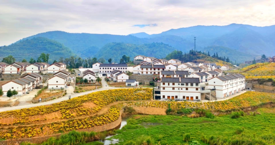 7年,2500多天……2015年,随着贵定县花甲水库的建设施工,盘江镇新沿村