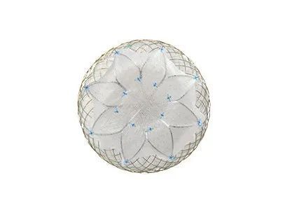 骨盆手术器械有哪些2023十大自主创新医疗器械产品_https://www.jmylbn.com_新闻资讯_第23张