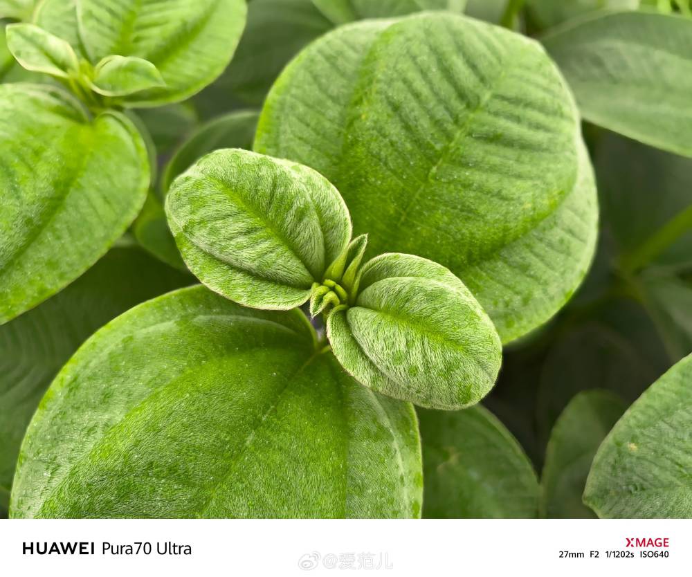 华为 pura70 ultra,为什么能卖 10000 元?