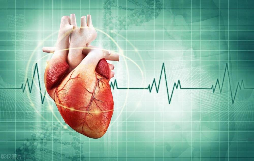 人的心跳次数是固定的，心率越慢的人就越长寿？不能低于1个数