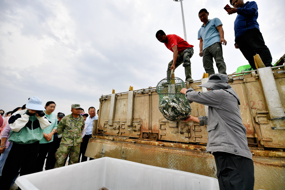 放鱼啦!银川20万尾"鱼宝宝"放流黄河