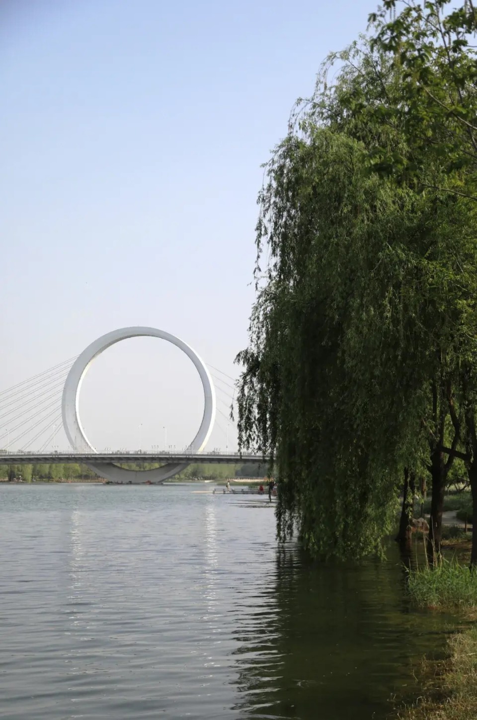 郑州网红公园竟有"隐藏玩法"  春光正好,就等你了