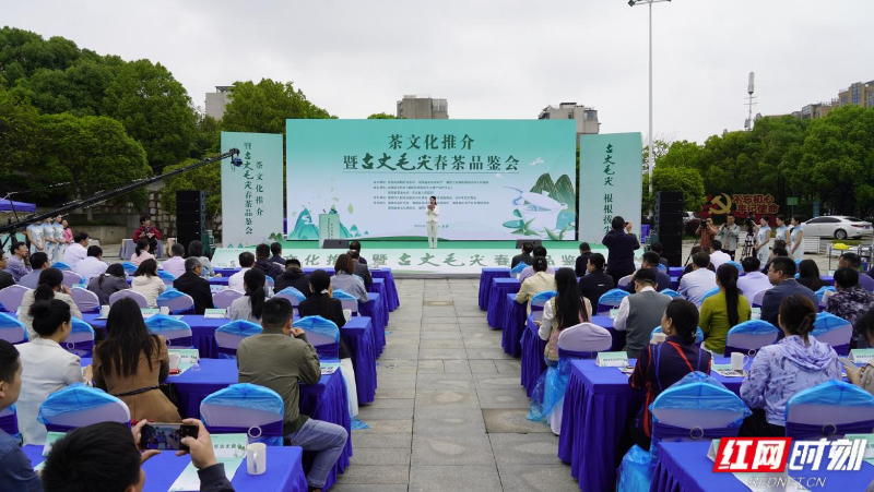 品千年茶香 展非遗新章 2025古丈毛尖春茶品鉴会在长沙启幕