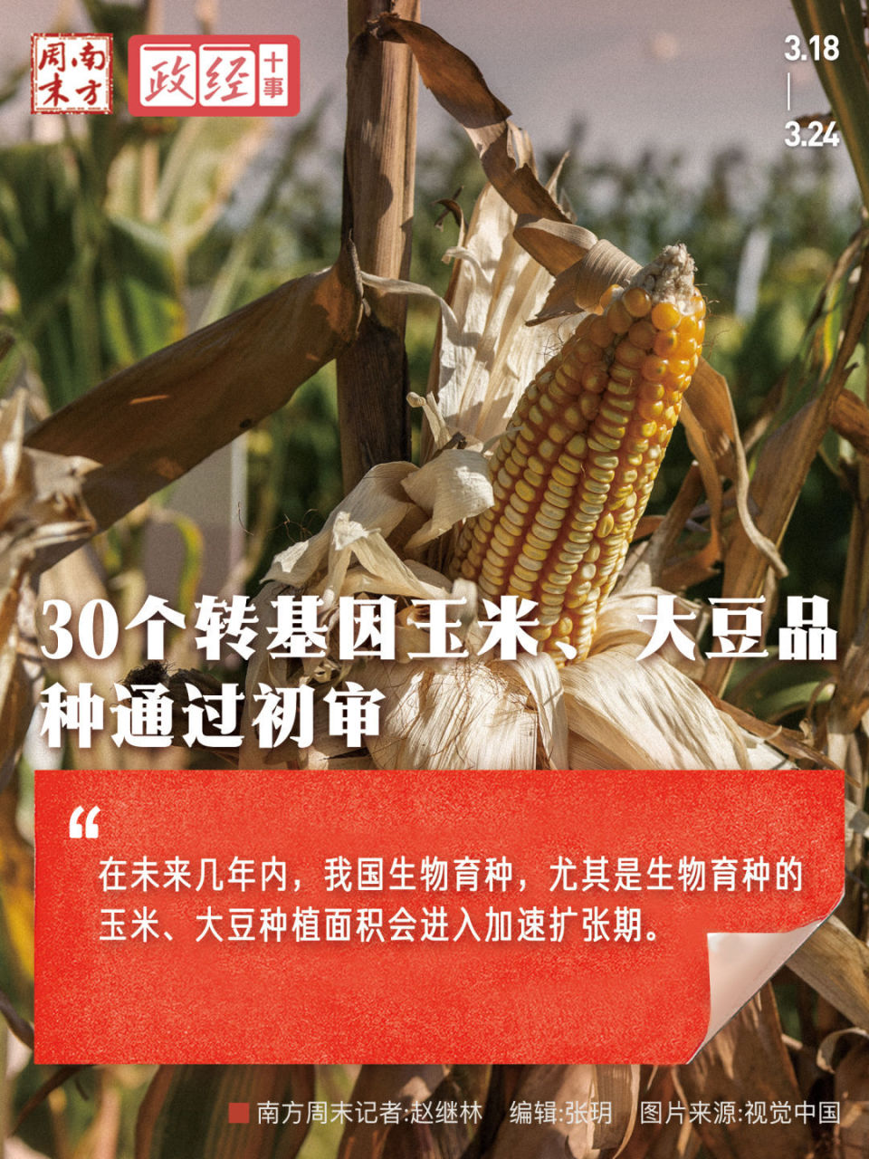 品种审定委员会第六次审定会议初审通过品种的公示,30个转基因玉米