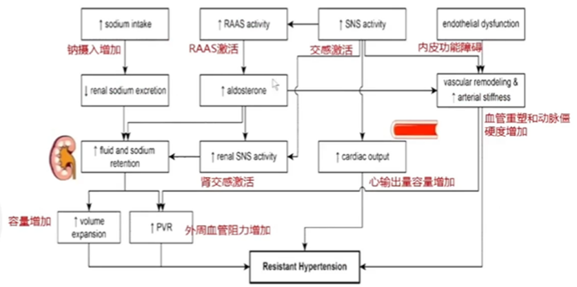 cic 2024 | 陈晓平教授:难治性高血压药物与介入治疗进展
