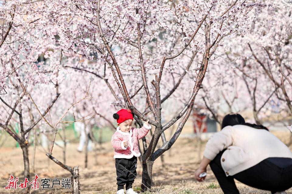 3月28日,游客在兰州市安宁区仁寿山生态文化旅游景区桃花园里拍照赏花