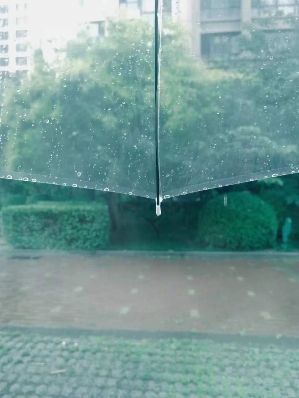 小雨气象图片图片