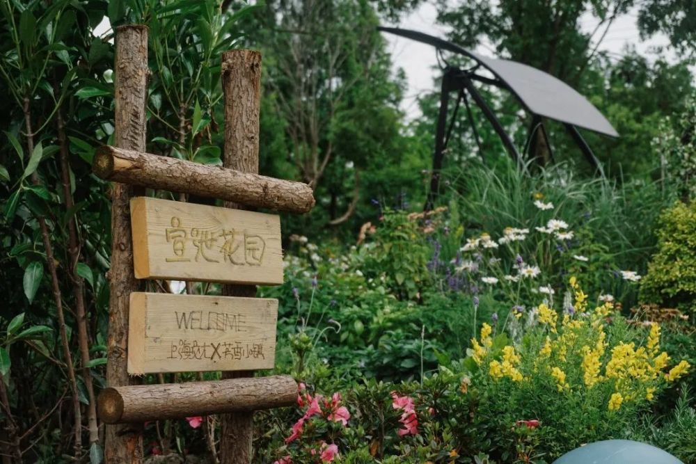 占地面积约13333㎡金山正在打造全市最大的沉浸式疗愈花园计划完工