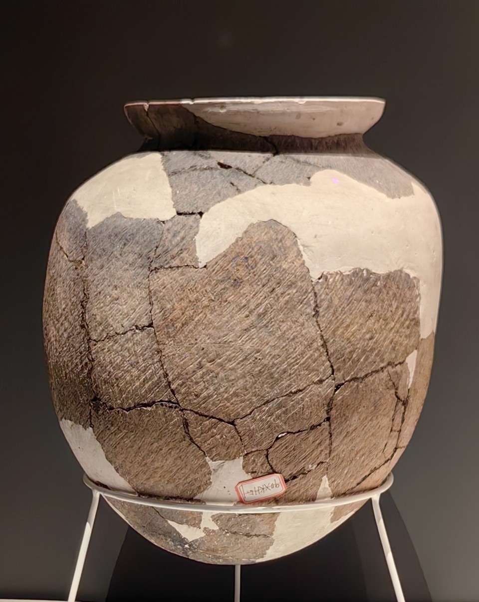 中华第一舟”见证的8000年文化：访跨湖桥遗址