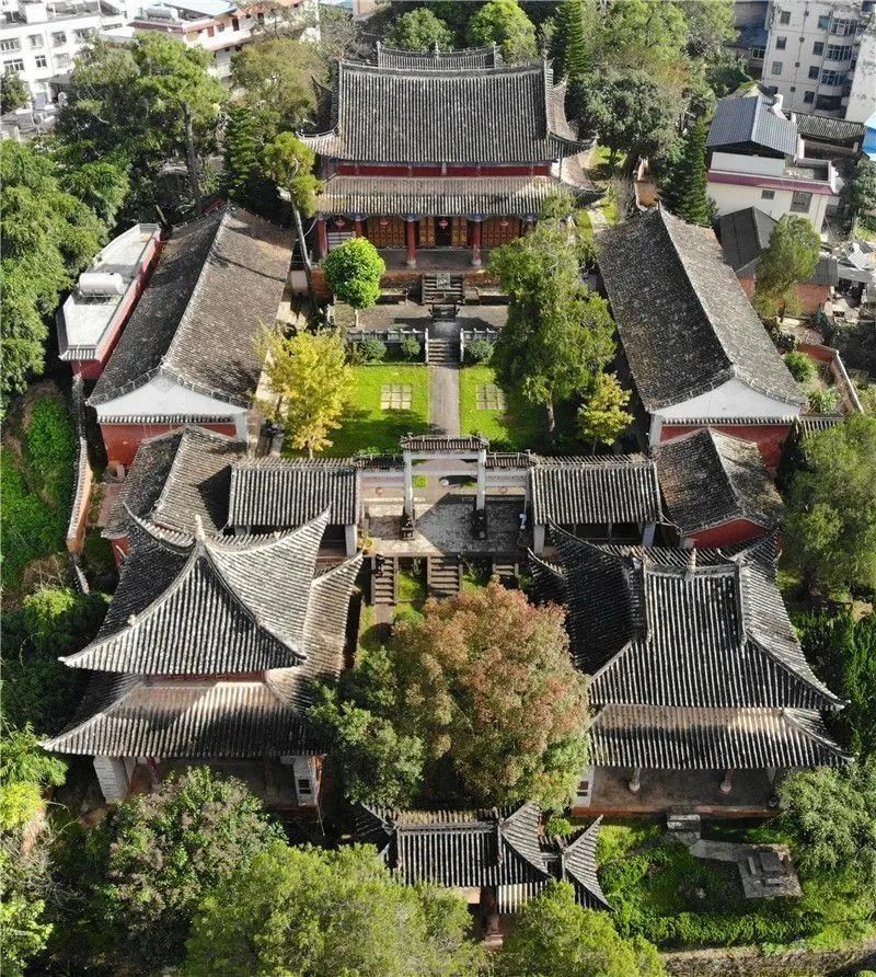 水美,林幽,物奇的千家寨风景区探访野生古茶树群落找寻2700年树龄的