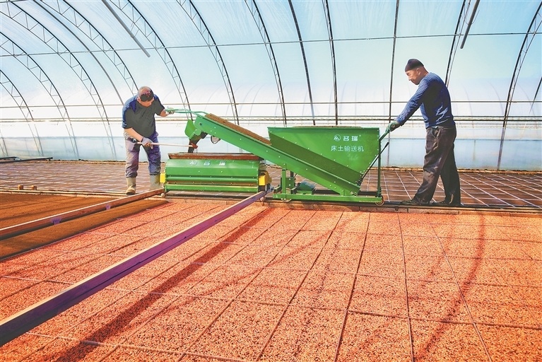 良种 良技 良机 北大荒抢占"新"机蓄力提单产_腾讯新闻