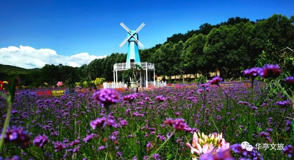 三抓三促行动进行时华亭全域旅游唱响四季欢歌