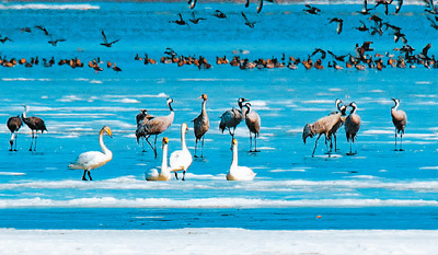 生机盎然 胜景重现_腾讯新闻