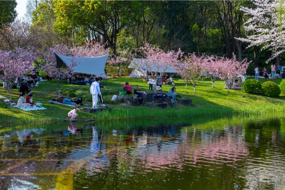 默默守护姚宝安/摄于莘庄母亲林西侧张跃雄/摄于闵行体育公园赵银交
