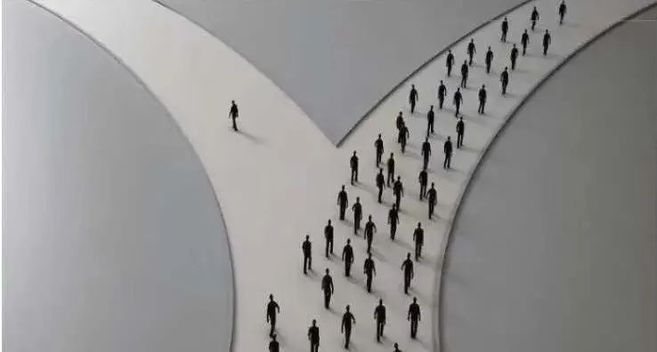 高考报志愿是你人生的最大一次选择