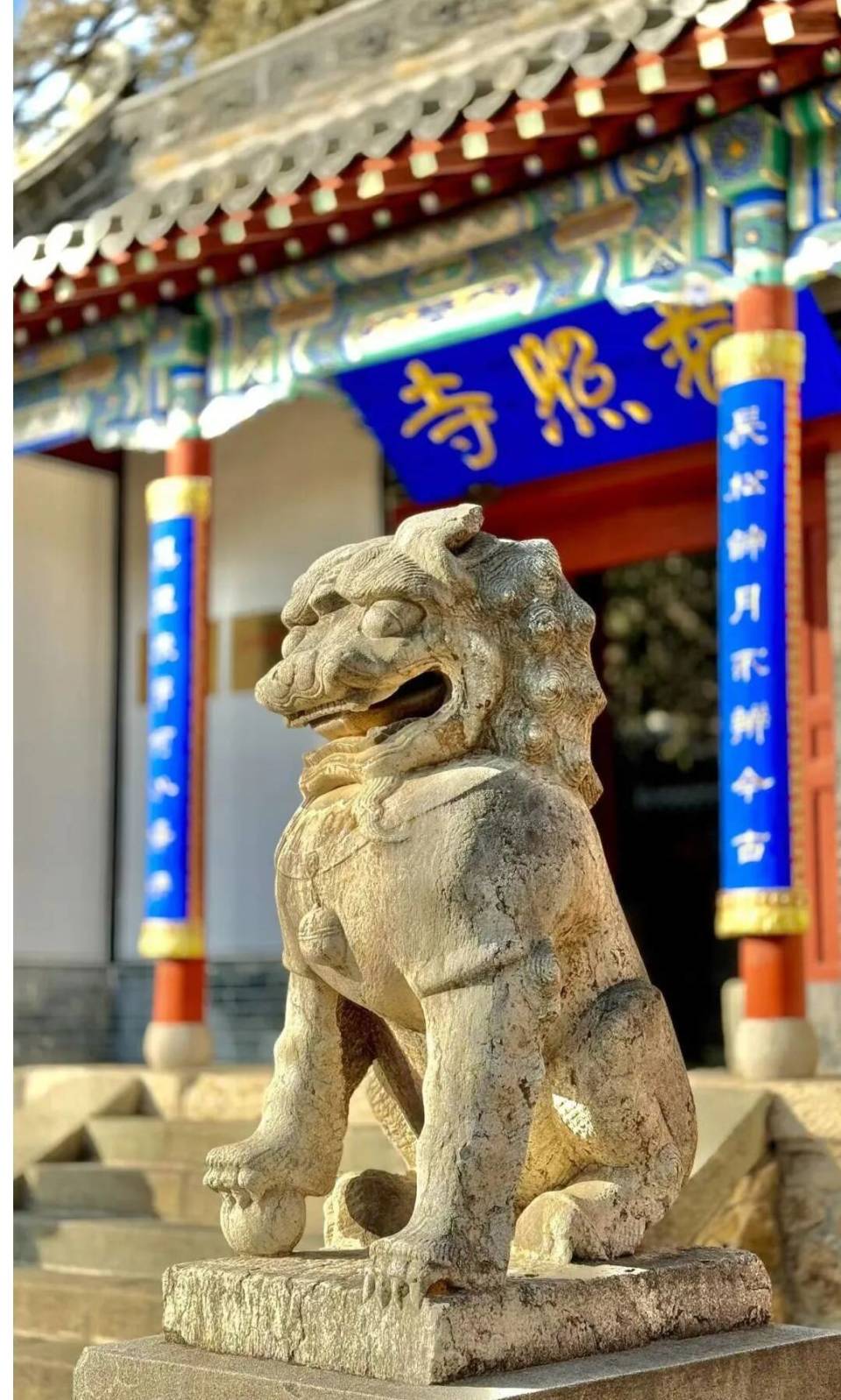 组图丨冬游普照寺,感受唯美静心的冬日气息