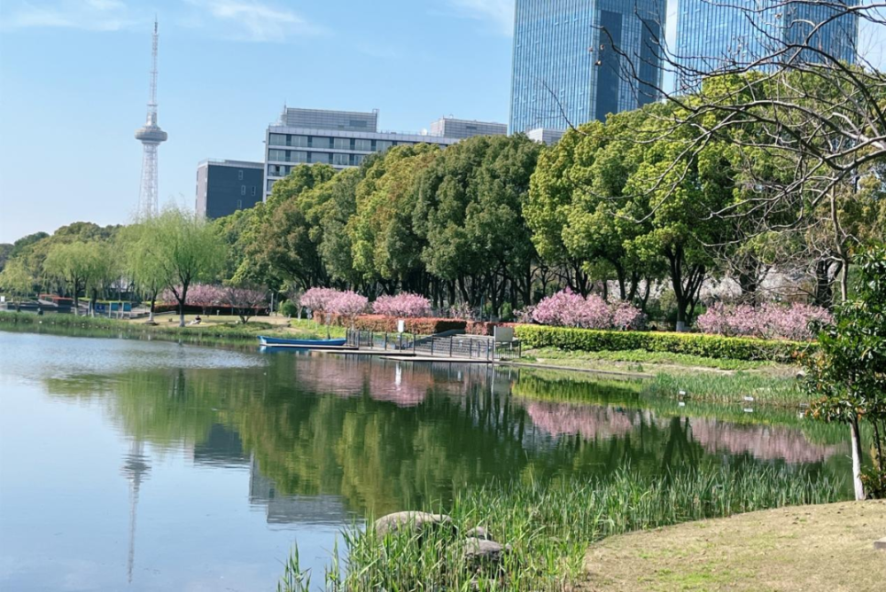 春日"沪"水游丨青浦:湖畔春色别样浓——夏阳湖_腾讯新闻