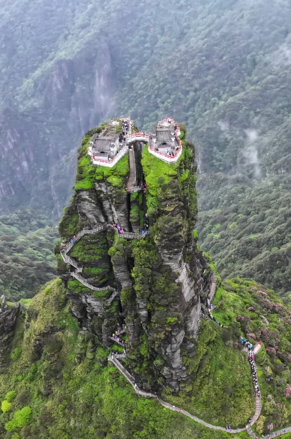 乡游黔中 | 江口县寨抱村:逃离热浪,山间的风拥着清凉来袭