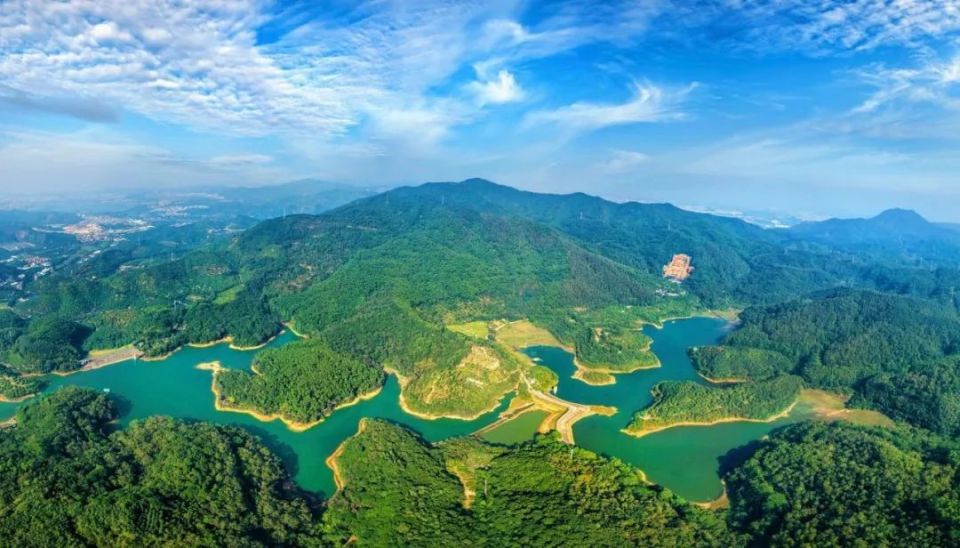 建设100个绿美典型项目,东莞吹响2024年"绿美生态"品质全面提升号角