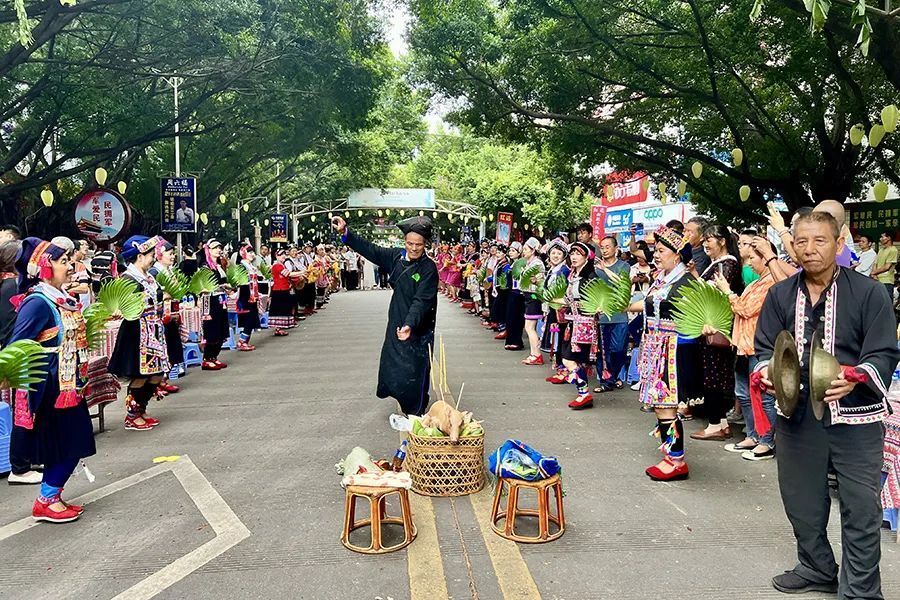 文化中国行 | 中国·元江第二十一届金芒果文化旅游节举行