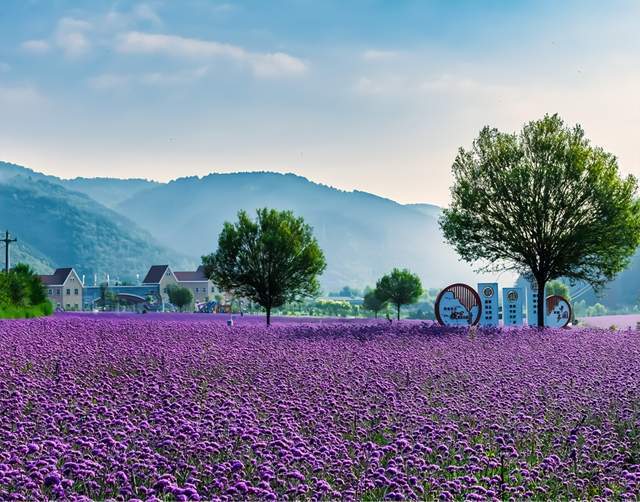 庆阳推出3条康养旅游线路产品