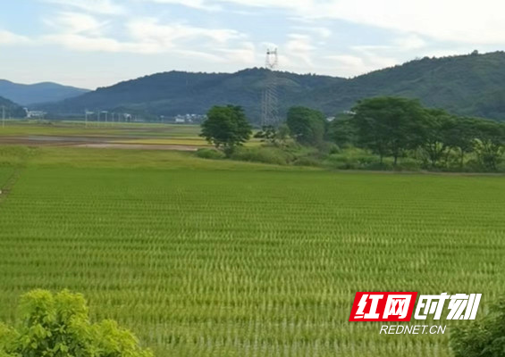 湖南郴州永兴县马田镇图片