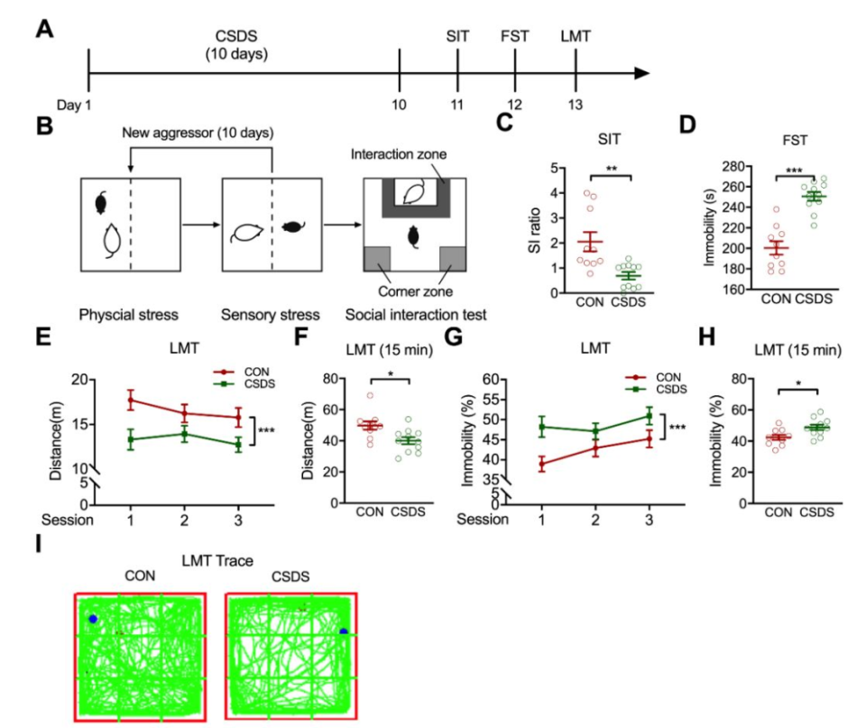 脑声常谈丨浅析动物自闭症模型构建及行为学评估方法