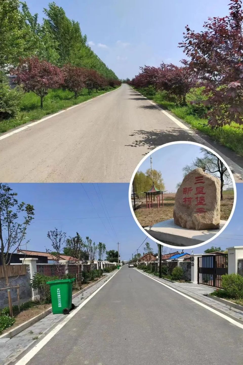 公主岭市怀德镇三里堡子村驻村"第一书记"张弢:付真情帮扶助力 携手共