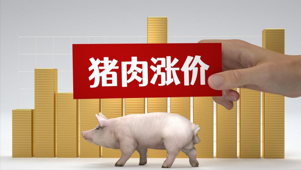 行情突变,猪价上涨"踩刹车"?附:2024年8月12日猪价