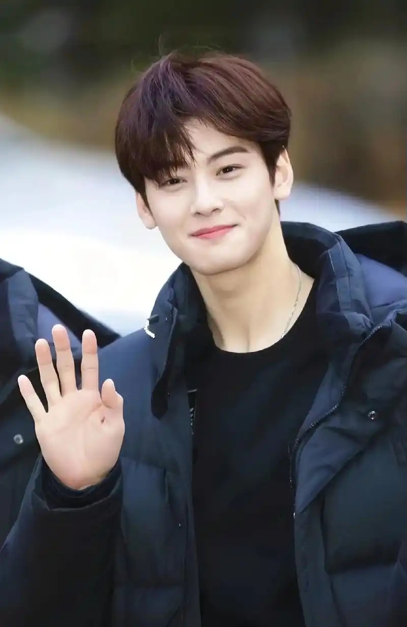 韩星车银优涉嫌逃税200亿韩元面临5年以上刑期及退圈危机-腾讯新闻