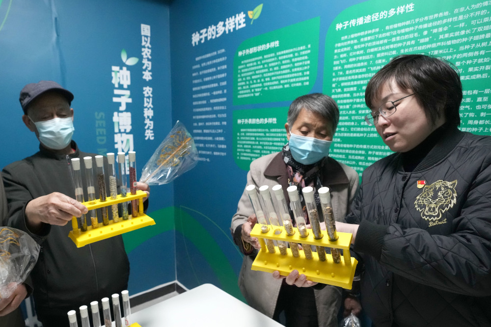 北京学院路街道建了座种子博物馆!居民都来瞧"稀奇"_腾讯新闻