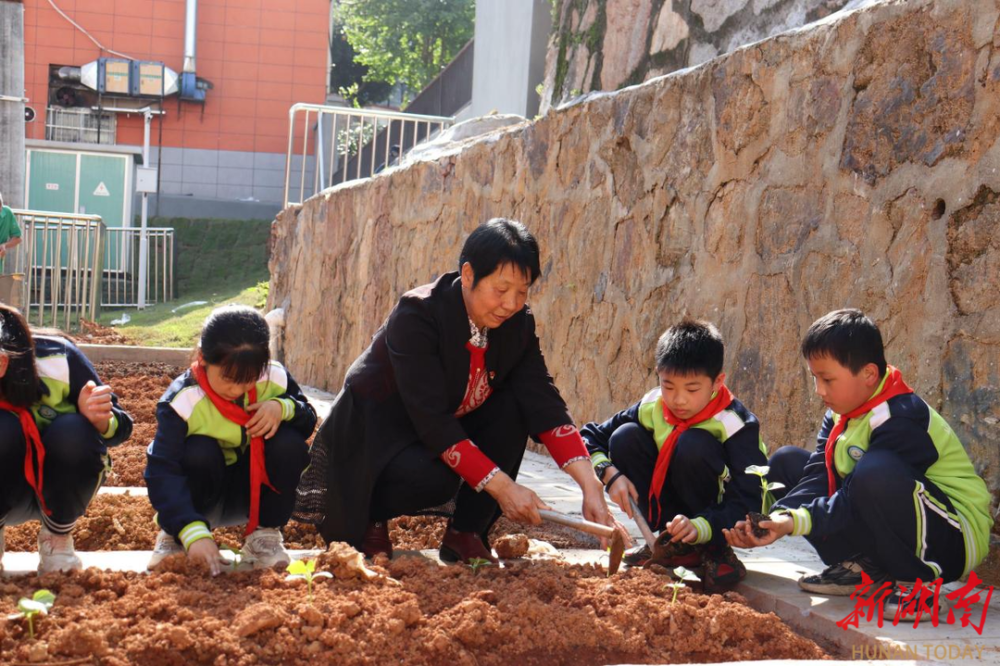 长沙市天心区北塘小学红泥齐护绿党团队同行