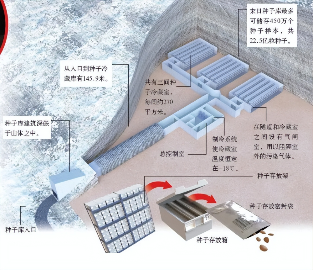 种子库_末日种子库 种子库_末日种子库（末日种子库是哪个国家的） 磁力资讯