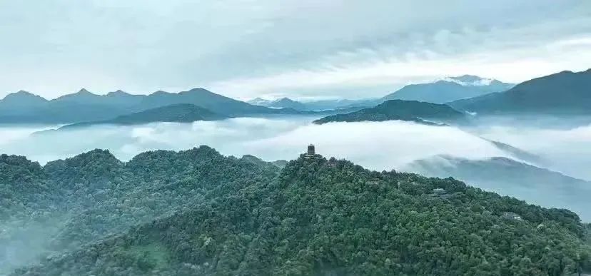 江湖大佬散盡家財上山求道  Religious 宗教